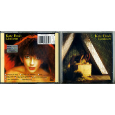 Kate Bush – Lionheart