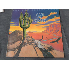 The new cactus band/73/sun of cactus/atlantic//ger/nm