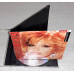 Signature Amanda Lear - The Collection