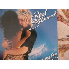 Rod stewart on vinyl