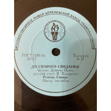 Vinyl record Ruzhena Sykora