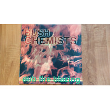 The Bush Chemists – Dub Fire Blazing