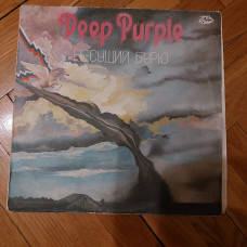 Deep Purple - Bearing the Storm