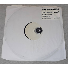 Mike Vandenberg vinyl - Flux Capacitor