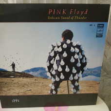 PINK FLOYD DELICATE SOUND of THUNDER 1 LP