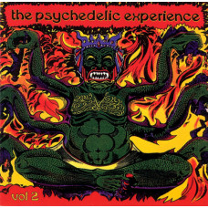 Various ‎ – The Psychedelic Experience Vol 2