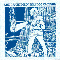 Various ‎ – The Psychedelic Salvage Co. Volume 1