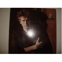 DON HENLEY-Bulding the perfect beast 1984 USA Pop Rock Classic Rock