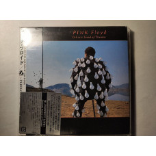 Pink Floyd ‎– Delicate Sound Of Thunder (Japan) (2CD)