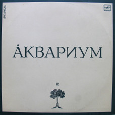 Группа Аквариум 1987