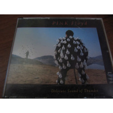 Pink Floyd-Delicate Sound Of Thunder (live)1988(2cd)