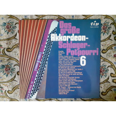 Vinyl record of LP Günther Gürsch Und Seine Akkordeon-Rhythmiker – Das Große Akkordeon-Schlagerp