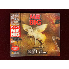 Mr. Big – What If...