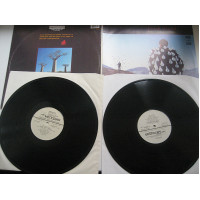 Pink Floyd - Delicate Sound of Thunde (2LP) - 1988 (Россия)