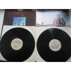 Pink Floyd - Delicate Sound of Thunde (2LP) - 1988 (Россия)