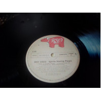 BEE GEES 1974, 76, 79, RSO U.K. GEMA EX