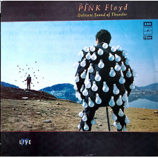 Pink Floyd/Delicate Sound of Thunder/double album