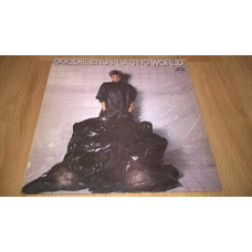 Goldie Ens (Plastic World) 1986. (LP). 12. Vinyl. Пластинка. Czechoslovakia.