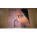 Diana Ross ‎ (Diana Ross. Reach Out) 1970. (LP). 12. Vinyl. Plastinka. Bulgaria.