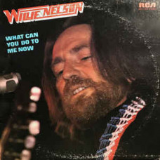 Willie Nelson ‎– What Can You Do To Me Now