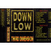 Down Low (Third Dimension) 1998. (MC). Cartridge. Gold Lion. Ukraine.