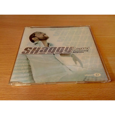 SHAGGY Featuring RAYVON - Angel