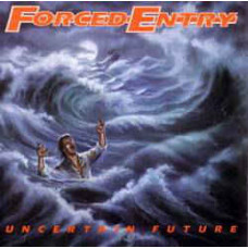 Forced Entry ‎ – Uncertain Future/The Shore LP