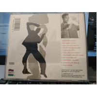 David vanI TIEGHEM STRANGECARGO CD