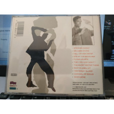 David vanI TIEGHEM STRANGECARGO CD