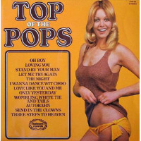 Top of the Pops vol.45