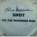 Sue Harrison - Shot  See The Morning Rise