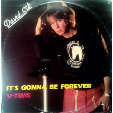 David SRB - Its Gonna Be Forever