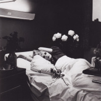 Antony And The Johnsons ‎ – I Am Bird Now 2005 (Second studio album) New!!!