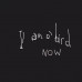 Antony And The Johnsons ‎ – I Am Bird Now 2005 (Second studio album) New!!!