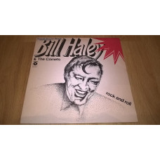 Bill Haley & The Comets (Rock And Roll) 1956. (LP). 12. Vinyl. Пластинка. Poland.