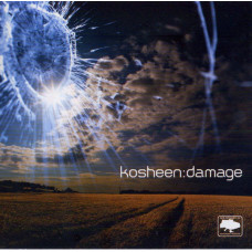 Kosheen ‎– Damage 2007 (Третий студийный альбом)