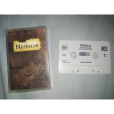 Fields Of The Nephilim England cartridge