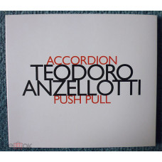 Teodoro Anzellotti Push Pull