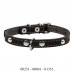 CoLLar Studded Leather Collar (Black)