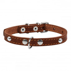 CoLLar Studded leather collar (brown)