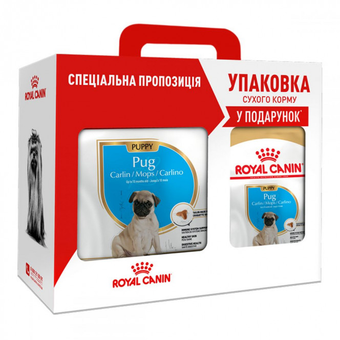 Royal Canin Pug Puppy food for pug puppies