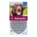 Advantix (Advantiks) weight more than 25 kg