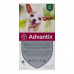 Advantix (Advantiks) weight less than 4 kg