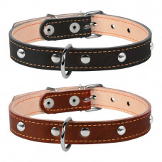 CoLLar Studded Leather Double Collar