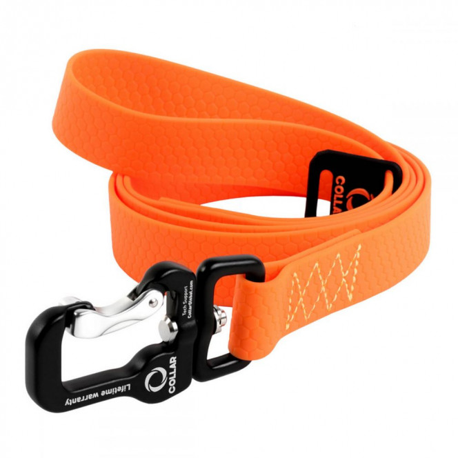 Collar Evolutor Leash for dogs orange