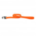 Collar Evolutor Leash for dogs orange