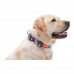 CoLLar Waudog Nylon Нейлоновый ошейник для собак Smart ID Адресник с QR кодом (Витраж)