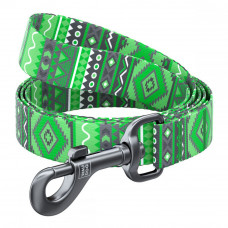 CoLLar Waudog Nylon Nylon Dog Leash (Ethno Green)