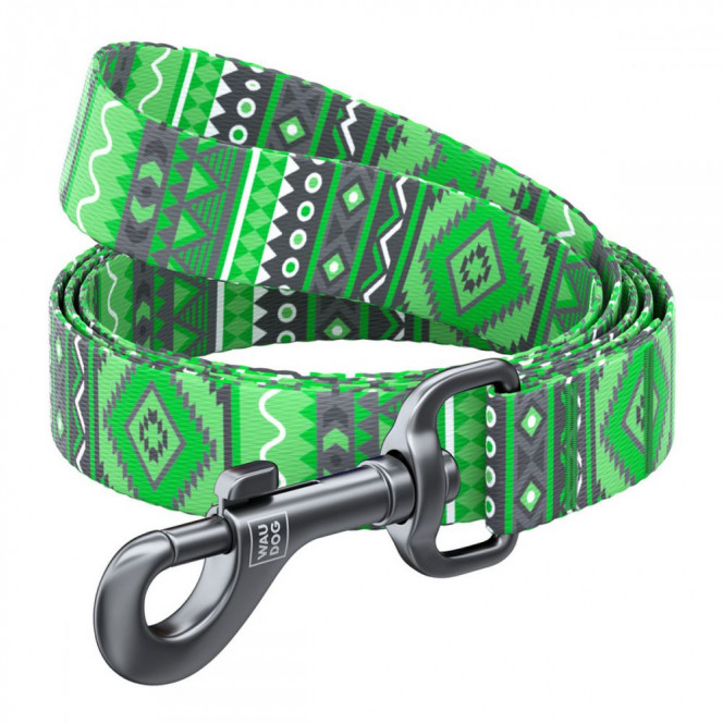 CoLLar Waudog Nylon Nylon Dog Leash (Ethno Green)