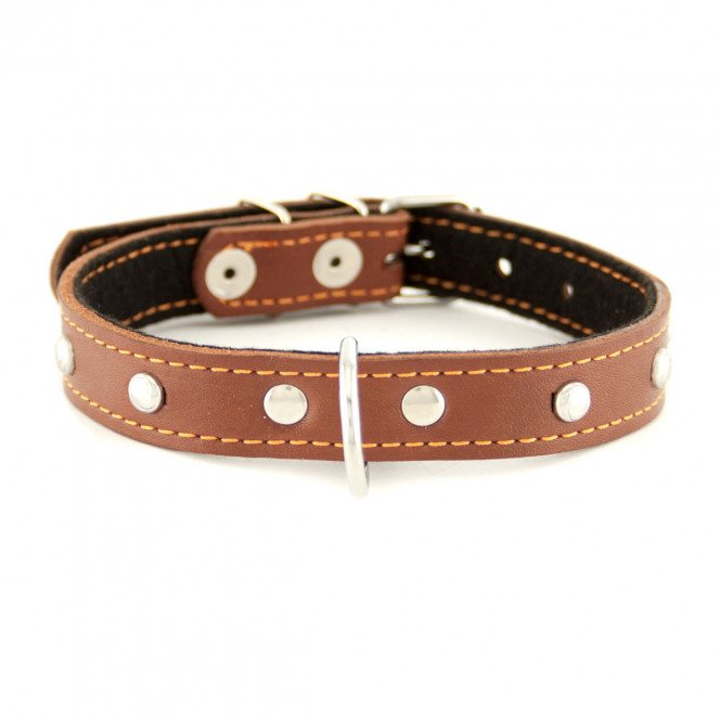 CoLLar Leather collar with rivets and padding polyester (brown)